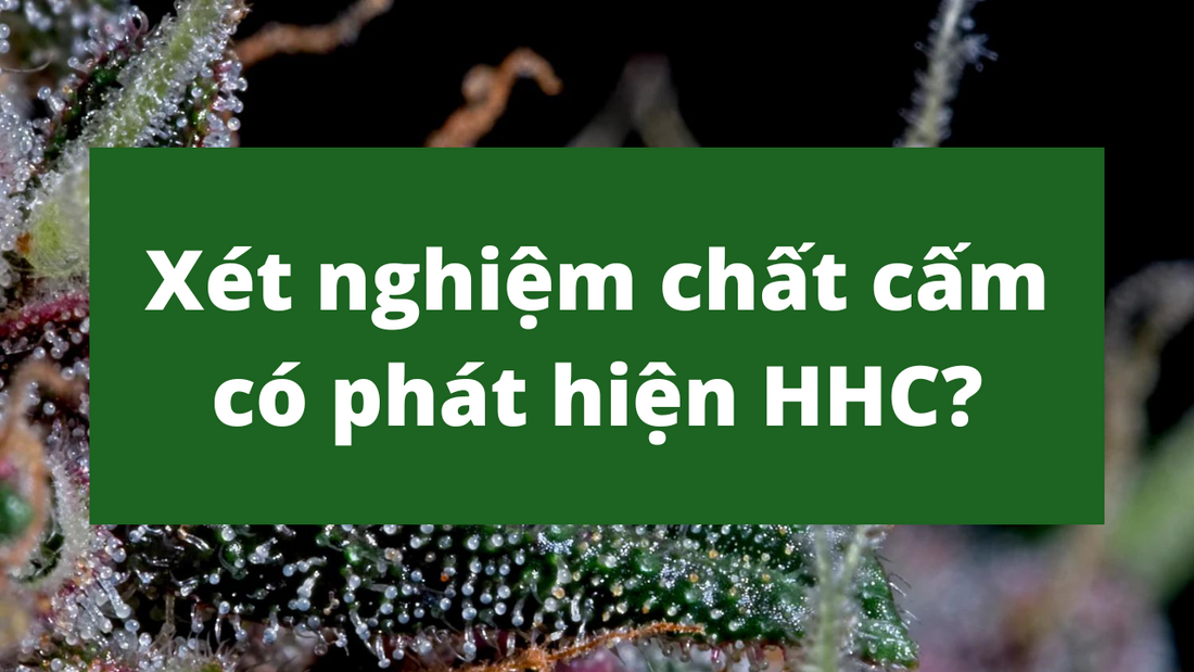 Bạn sẽ xét nghiệm dương tính với THC khi dùng HHC chứ?