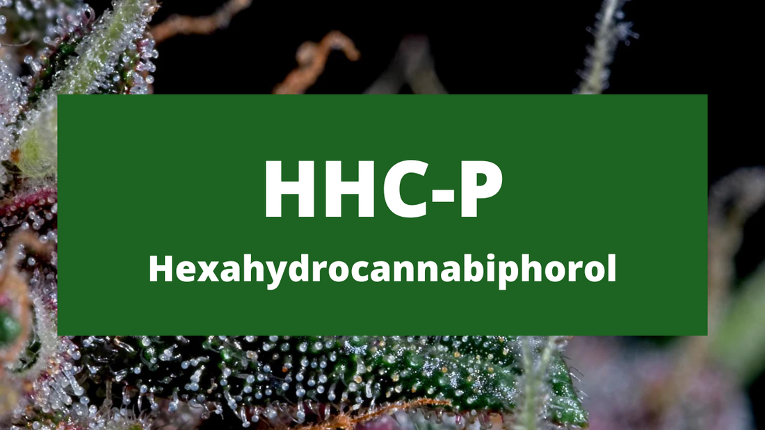 HHC-P: Sự kết hợp giữa THC-P và HHC